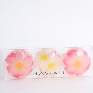 Hawaii - Soap that is Magnificent - Savon Des Fleurs Round Soap